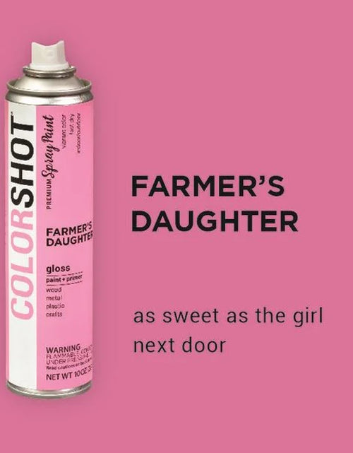 Load image into Gallery viewer, Premium Multi-Surface Gloss Farmers Daughter Spray Paint - 10 Oz - Pink
